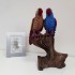 Swarovski Crystal | H.Q. Starline | Parrots | HQ005401108